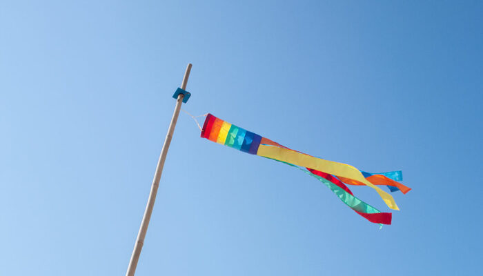 4 Pride flag windsocks that are perfect for your backyard